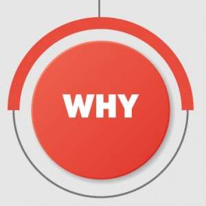 View image to see why we recommend this fund and for whom