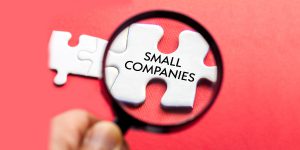 FundsIndia Recommends: Franklin India Smaller Companies