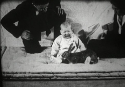 Little albert