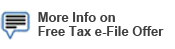 Income Tax filing